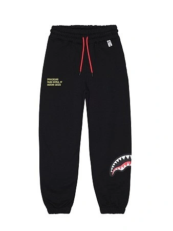 SPRAYGROUND Брюки