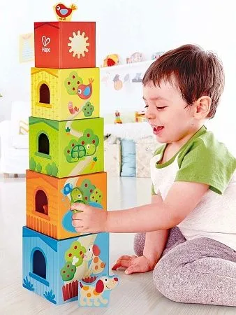 HAPE Игрушка Кубики-пирамида Башня Дружбы