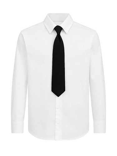 Alessandro Borelli Набор блузка и галстук