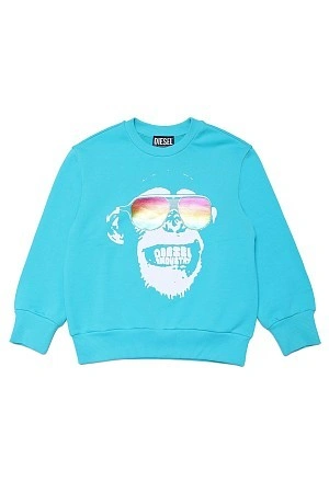 DIESEL Толстовка