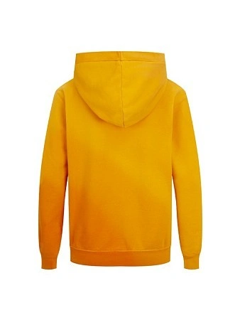 Disclaimer Толстовка