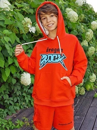 Alessandro Borelli Худи для мальчика