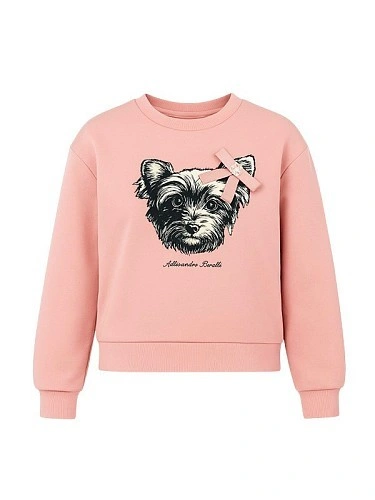 Alessandro Borelli Свитшот для девочки Alessandro Borelli Свитшот для девочки