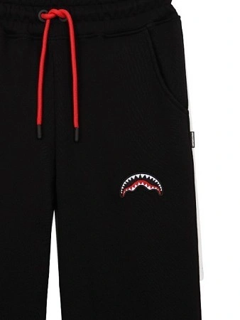 SPRAYGROUND Брюки