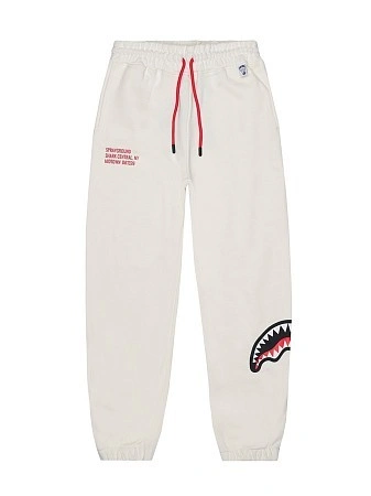 SPRAYGROUND Брюки