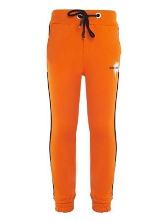 Alessandro Borelli Брюки для мальчика