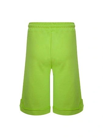 Disclaimer Шорты