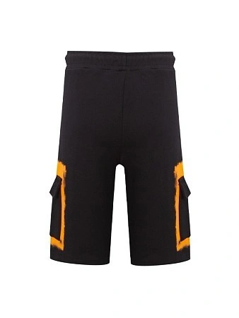 Disclaimer Шорты