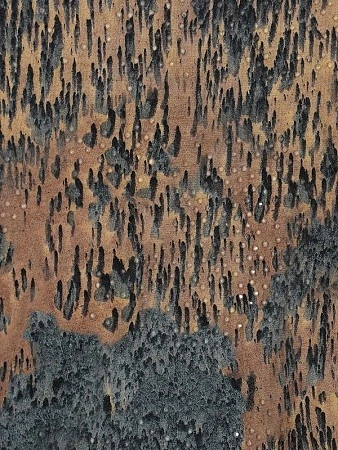 DIESEL Толстовка