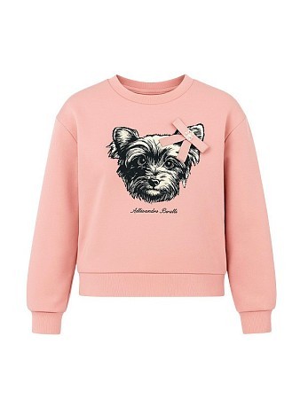 Alessandro Borelli Свитшот для девочки Alessandro Borelli Свитшот для девочки