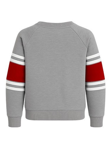 Alessandro Borelli Свитшот с начесом для девочки Alessandro Borelli Свитшот с начесом для девочки