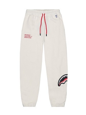 SPRAYGROUND Брюки SPRAYGROUND Брюки