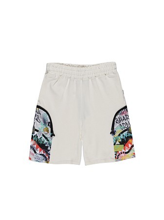 SPRAYGROUND Шорты