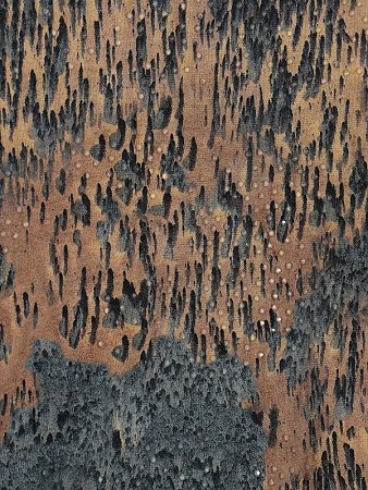 DIESEL Толстовка